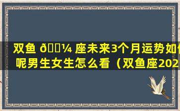 双鱼 🐼 座未来3个月运势如何呢男生女生怎么看（双鱼座2021年3月份的势运如何）